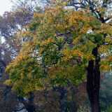 DSCF0977