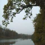 DSCF0983
