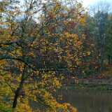 DSCF0989