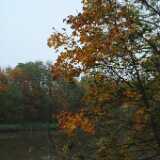 DSCF0997