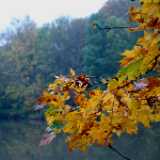 DSCF0998