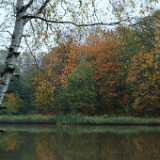 DSCF1002