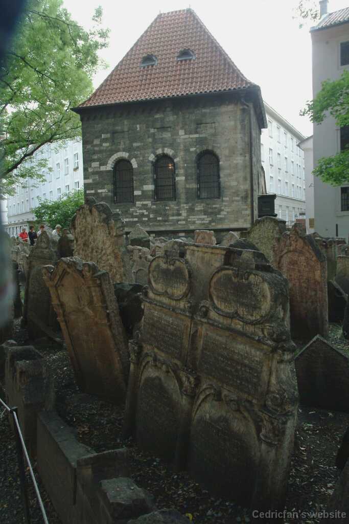 DSCF0396