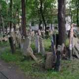 DSCF0377