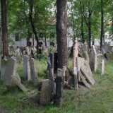 DSCF0380