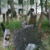 DSCF0386