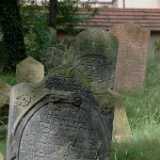 DSCF0388