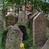 DSCF0392