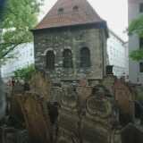 DSCF0396