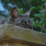 DSCF0373