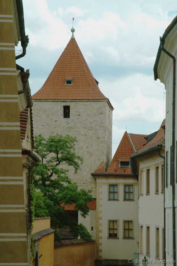 DSCF0292