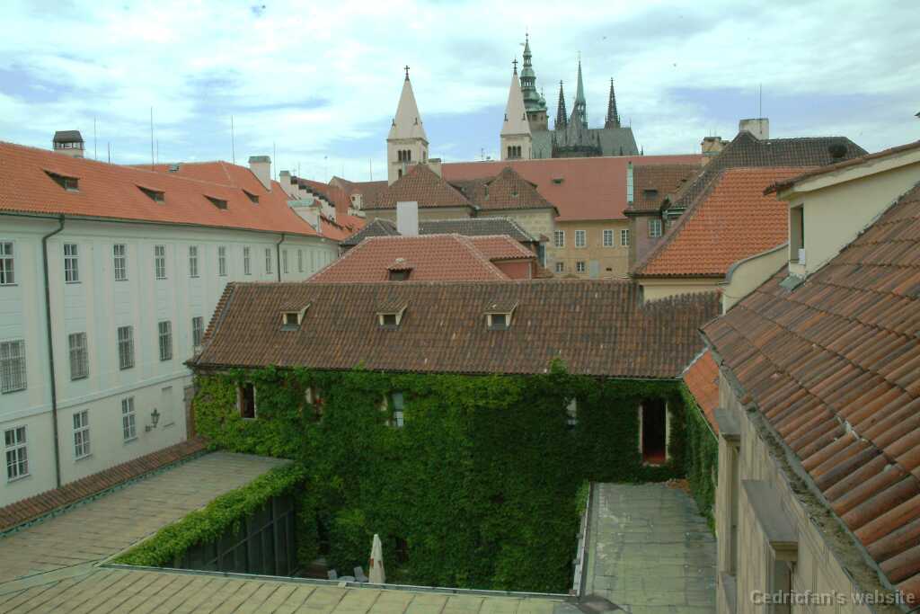 DSCF0313