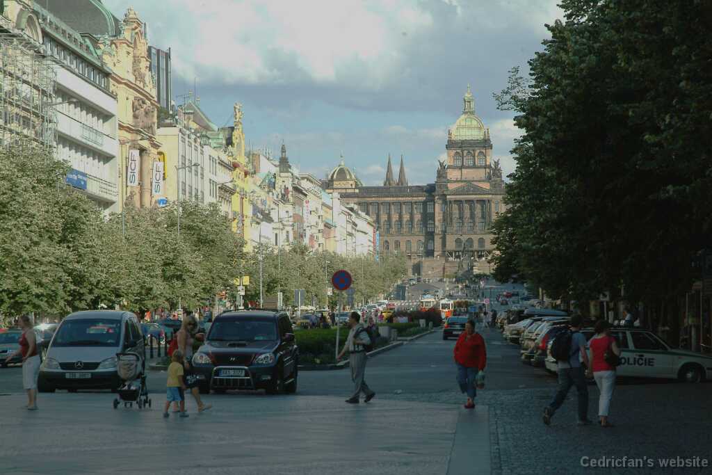 DSCF0364