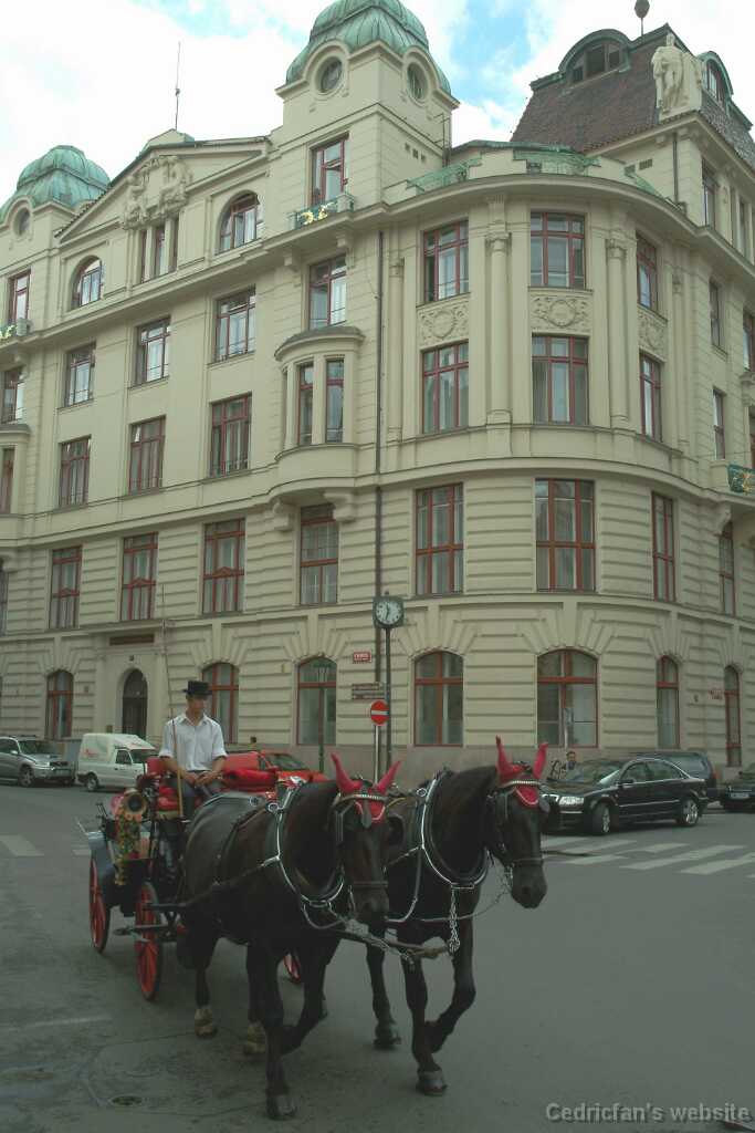 DSCF0413