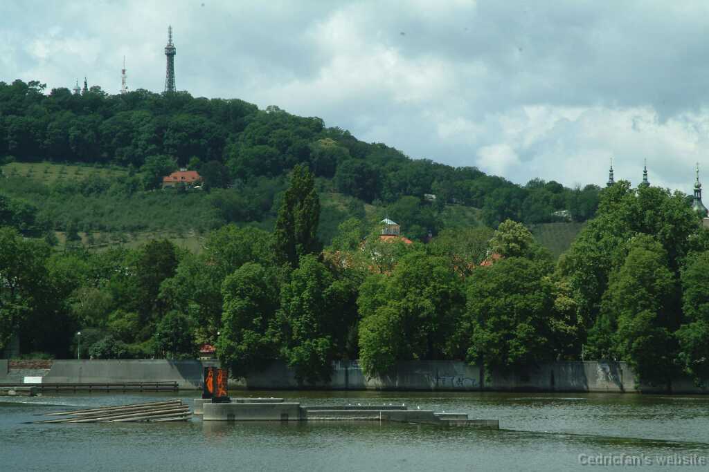 DSCF0419