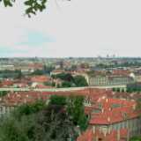DSCF0333