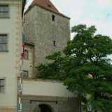 DSCF0336