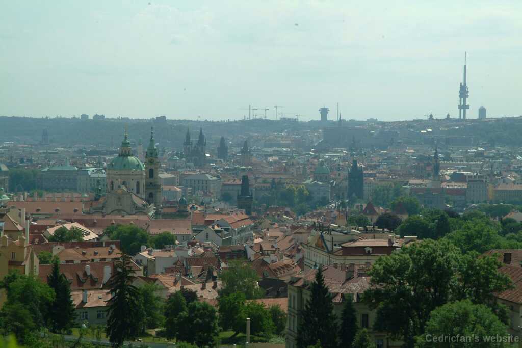 DSCF0462