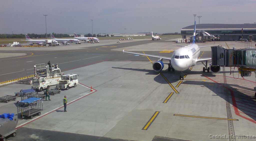 DSCF17062007021