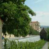 DSCF0460