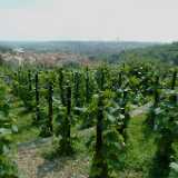 DSCF0466