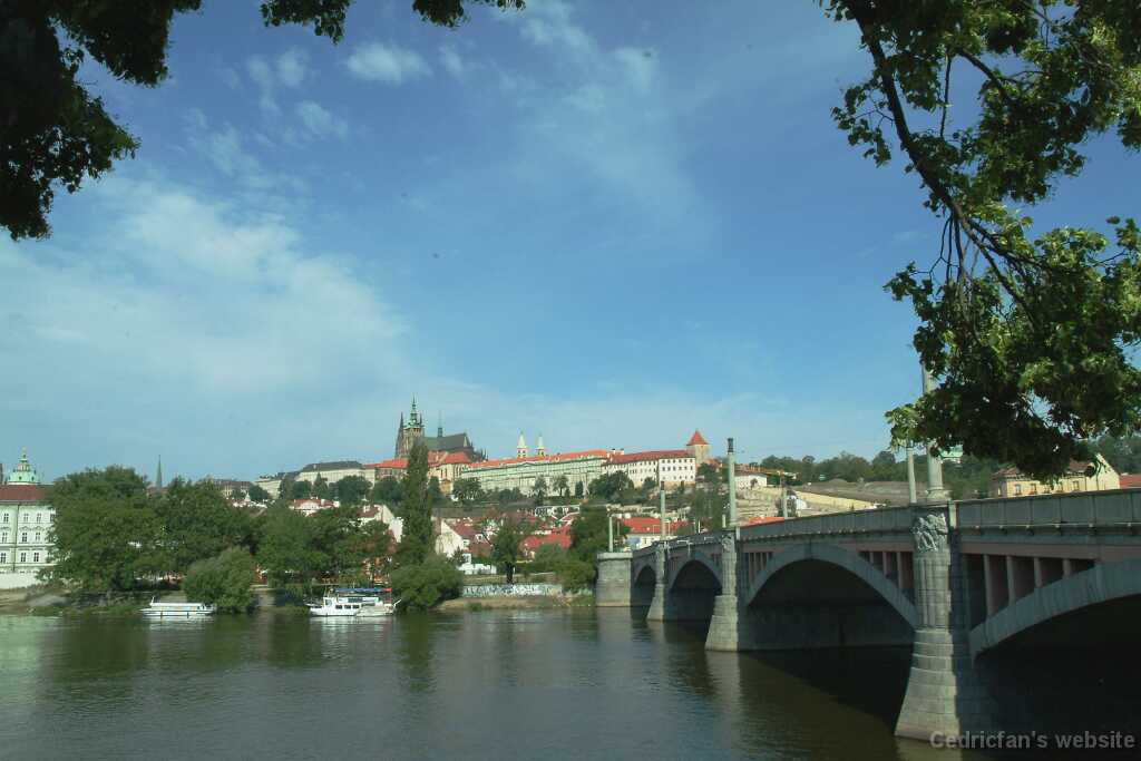 DSCF0247