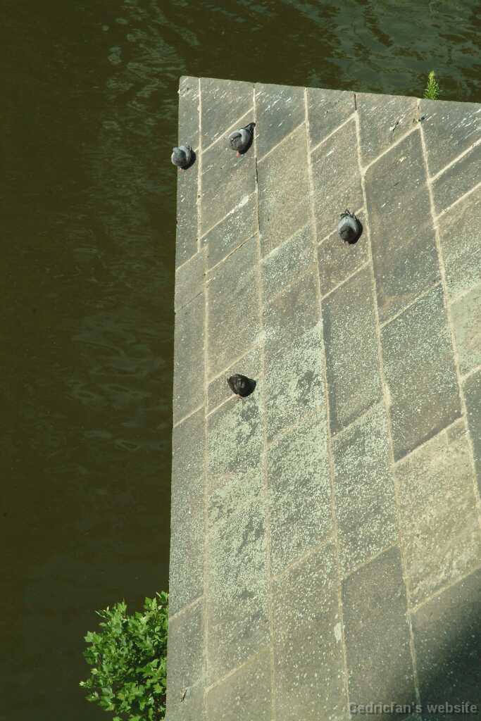 DSCF0255
