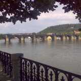 17062007014