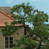 DSCF0275
