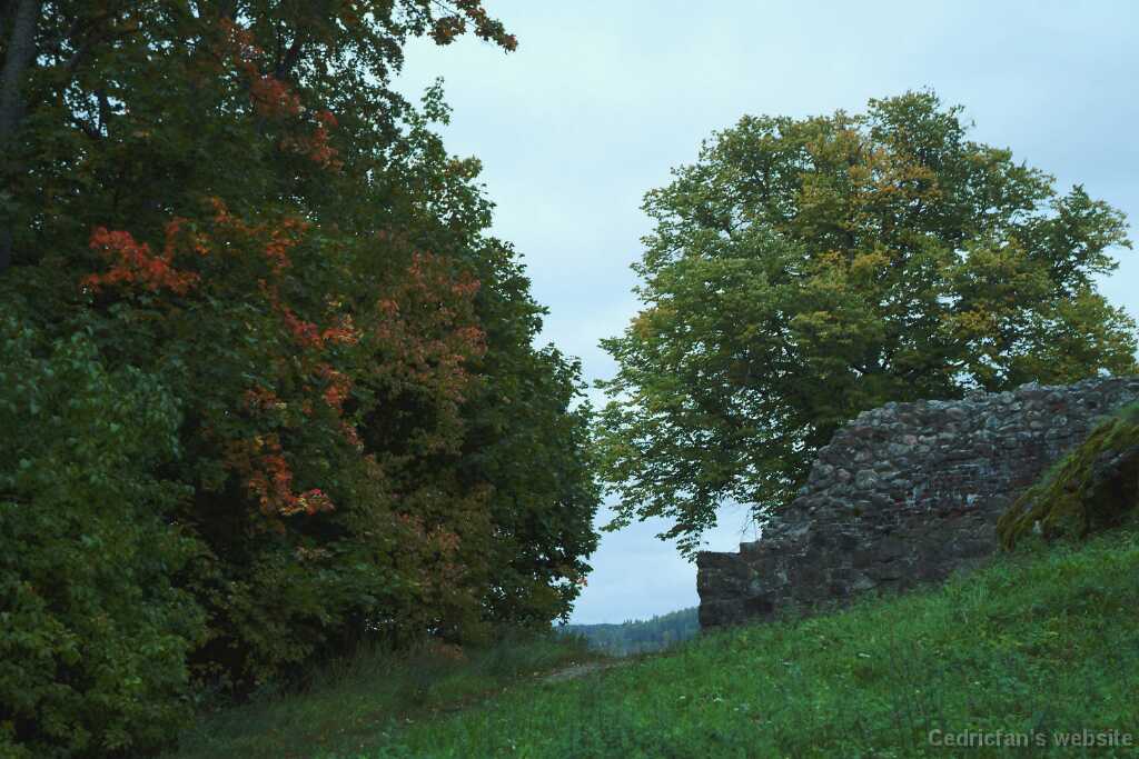 DSCF0835