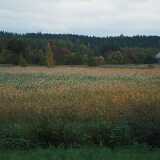 DSCF0831