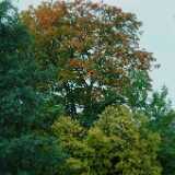 DSCF0834