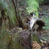 DSCF0853