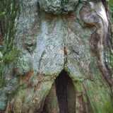 DSCF0857