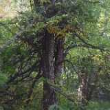 DSCF0862