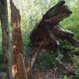 DSCF0866