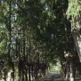 DSCF0869