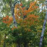 DSCF0870