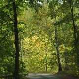 DSCF0871