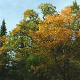 DSCF0876