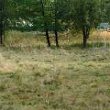 DSCF0889