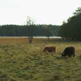DSCF0891