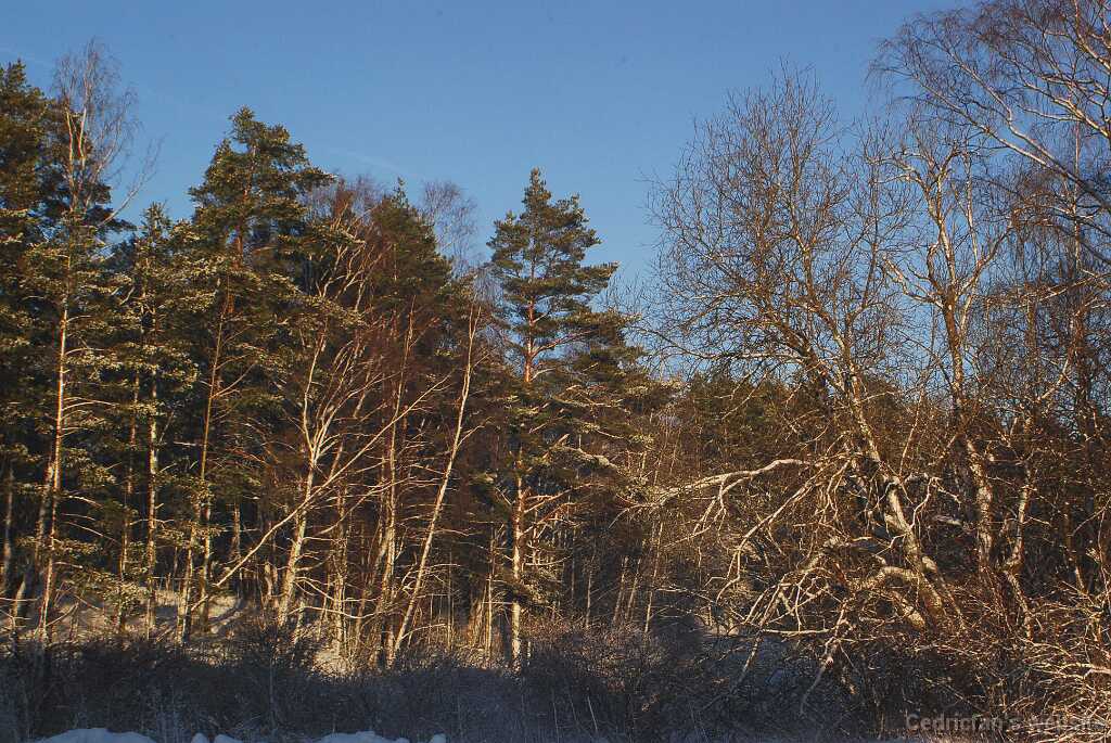 DSC_1540