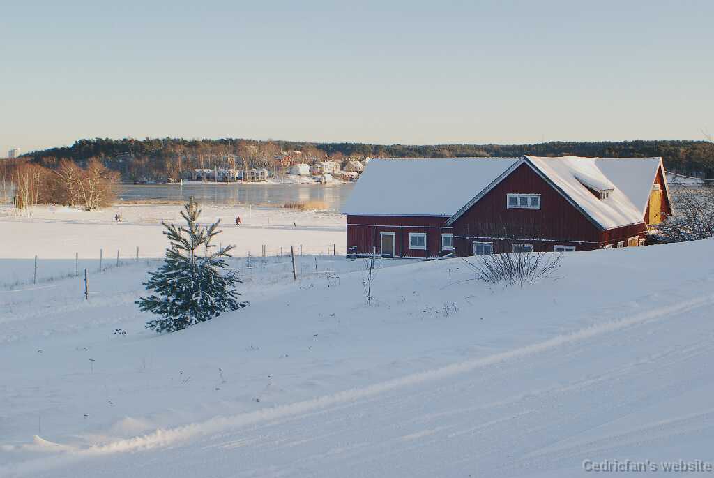 DSC_1553