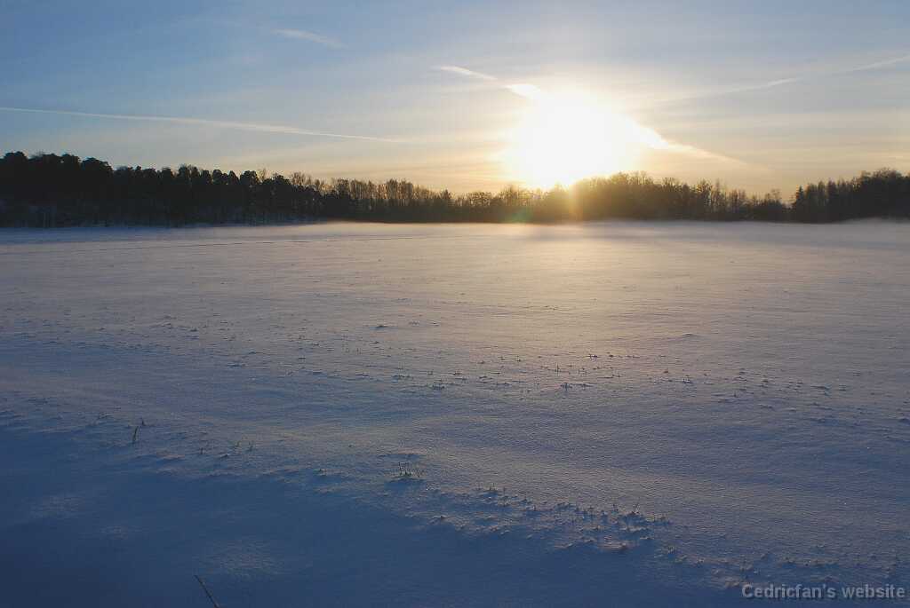 DSC_1631