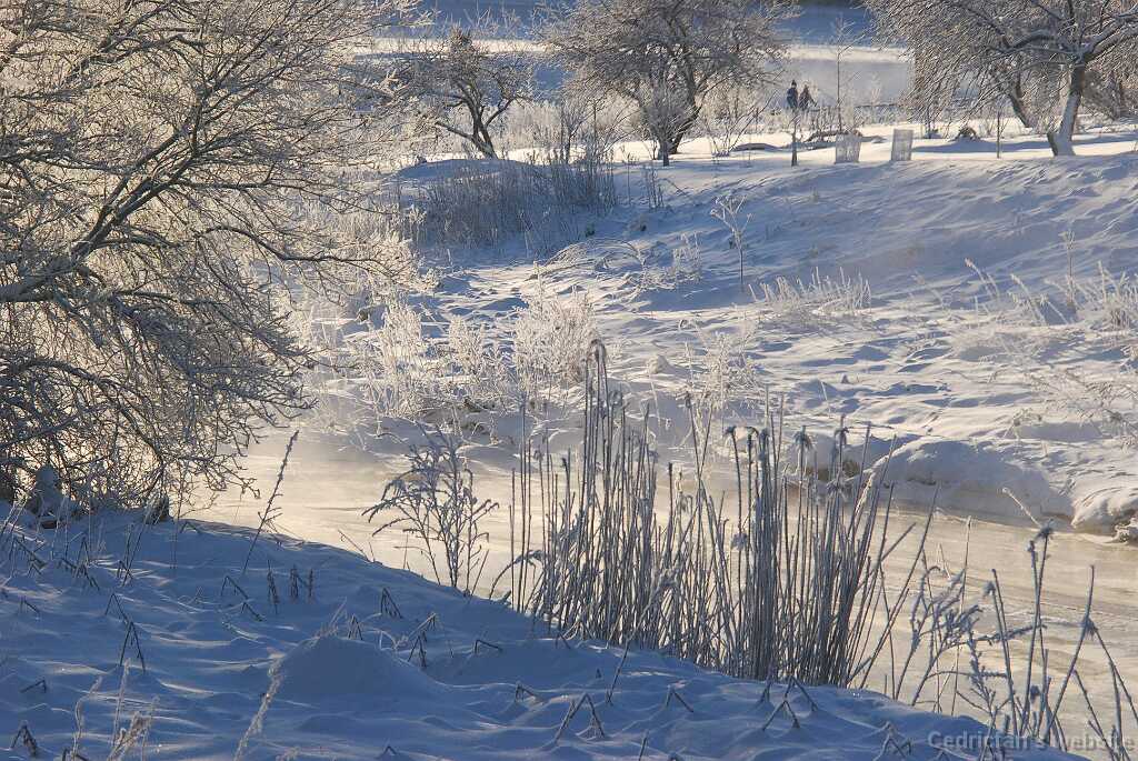 DSC_1368