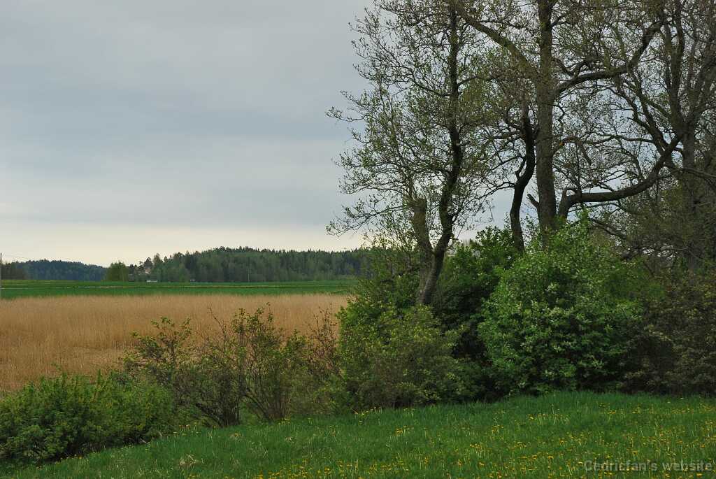 DSC_3324