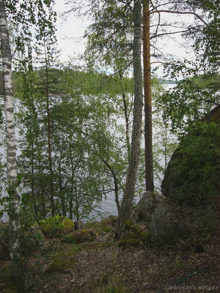 L1010353