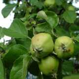 DSCF0563