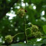DSCF0645